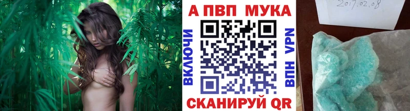 А ПВП Соль что такое Касимов