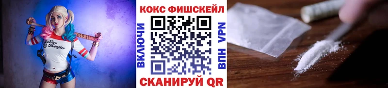 где можно купить наркотик  Касимов  Кокаин 99% 