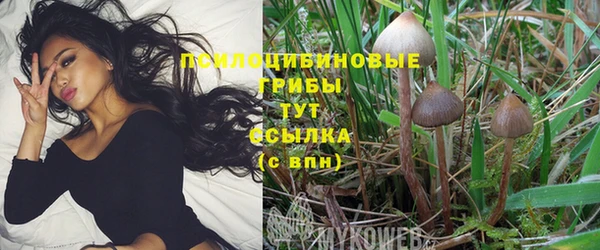 мдпв Навашино