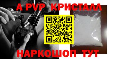стаф Дубна