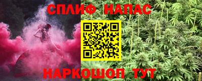 стаф Дубна