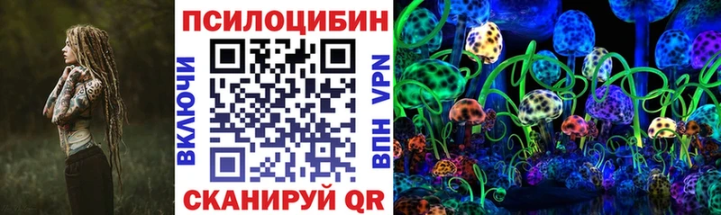 omg tor  Касимов  Псилоцибиновые грибы Cubensis  даркнет сайт 
