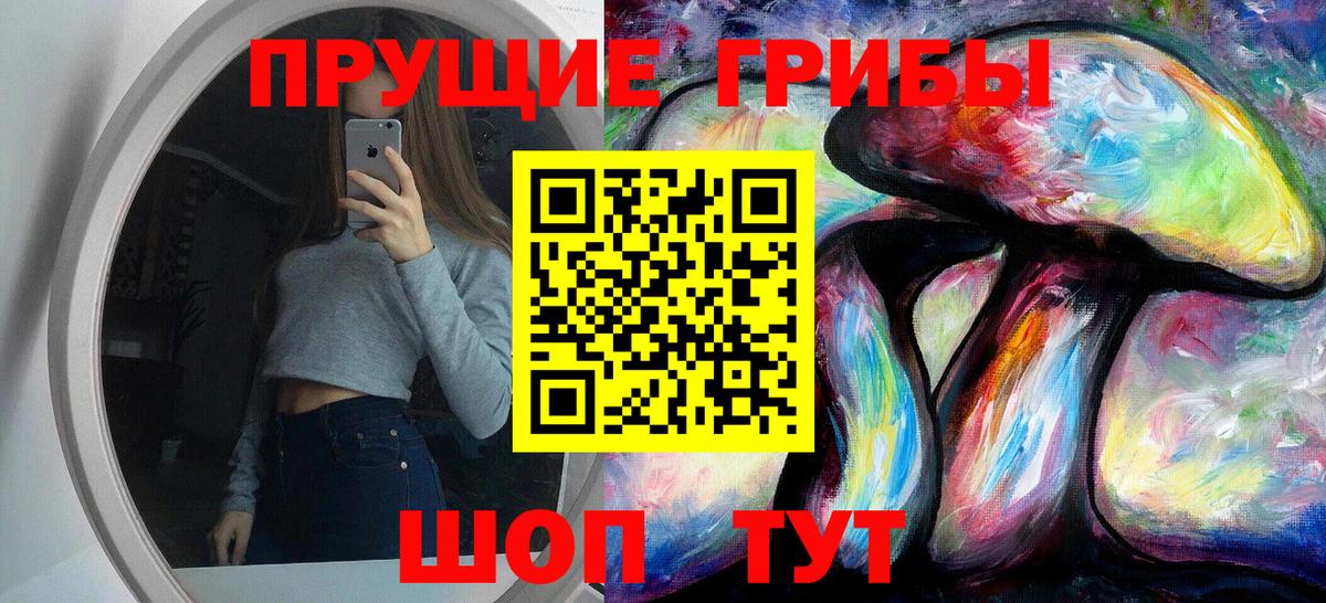 Псилоцибиновые грибы Psilocybine cubensis  Касимов 