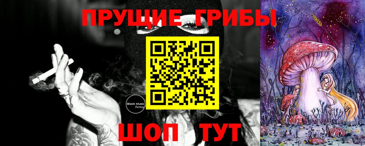 Касимов  купить наркотики сайты  Вход с VPN  Галлюциногенные грибы Psilocybe 