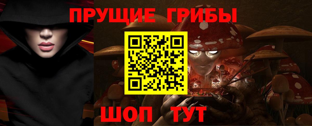 Псилоцибиновые грибы MAGIC MUSHROOMS Касимов